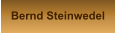 Bernd Steinwedel